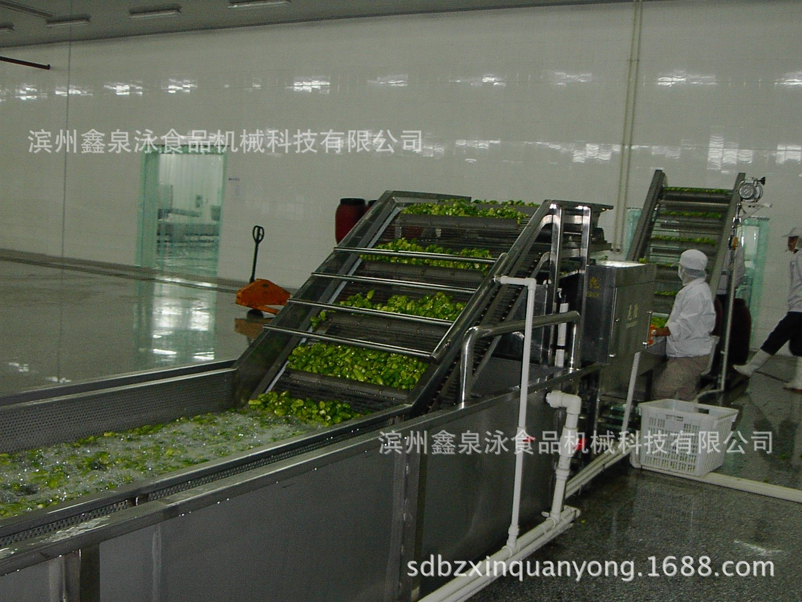 蔬菜清洗機