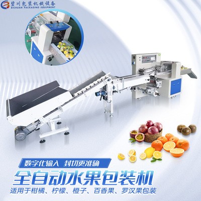 佛山廠家直供全自動檸檬包裝機高速柑橘打包機現貨批發水果套袋機