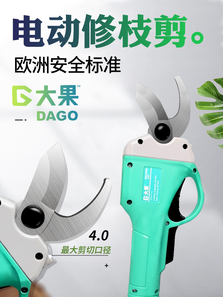 修枝詳情_01