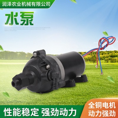 自吸式12V大功率隔膜泵 2600泵2800泵 農(nóng)用電動(dòng)噴霧器高壓水泵