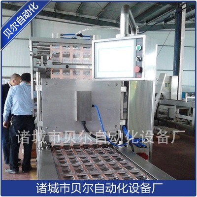 廠家直銷 食品機械 全自動真空包裝機 全自動拉伸膜真空包裝機