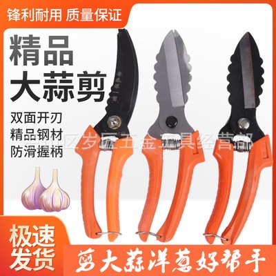 大蒜剪刀專用剪蒜根剪蒜頭剪大蒜剪蒜胡農(nóng)用大蔥生姜洋蔥專用剪子
