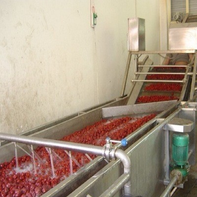 香菇菌類(lèi)清洗機(jī) 凈菜蔬菜清洗加工生產(chǎn)線(xiàn)廠(chǎng)家 雜糧清洗設(shè)備生產(chǎn)線(xiàn)