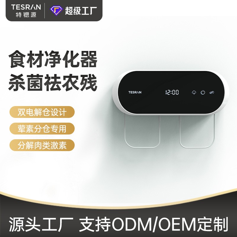 果蔬清洗凈化器家用蔬菜清洗機(jī)雙倉去農(nóng)殘降解激素廠家直供