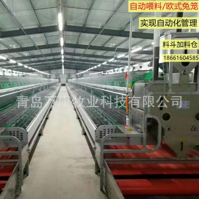 養兔子種兔設備 籠具歐式自動喂料繁育兔籠