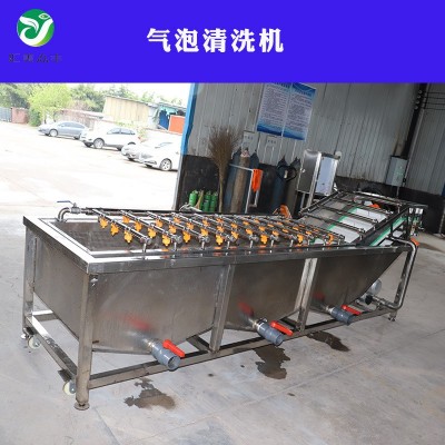 不銹鋼高壓噴淋自動輸送梅干菜酸菜無損氣泡清洗機(jī)多功能清洗機(jī)