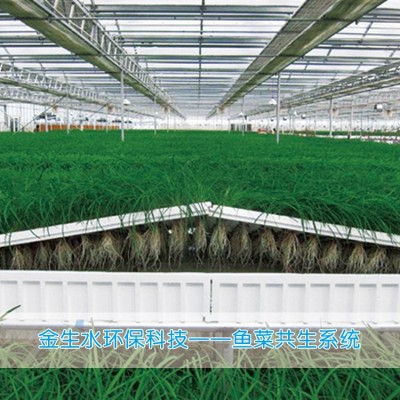 循環水養殖系統 魚類育苗養殖系統 魚菜共生系統