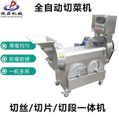 全自動 雙頭果蔬切菜機 商用土豆切絲機 球根莖葉菜類蔬菜切片機