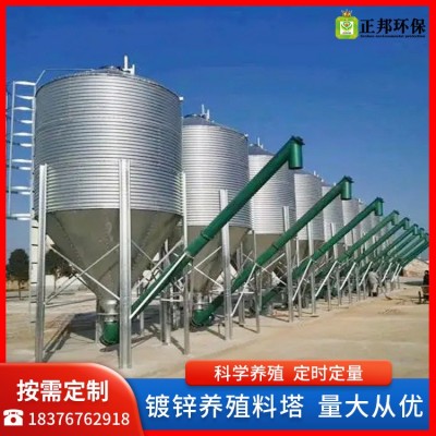 大容量養殖料塔料線 養豬設備飼料儲存 自動化料塔料線養殖設備