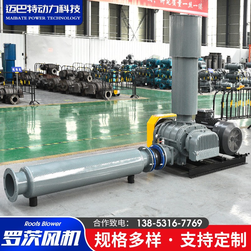 WHSR羅茨風(fēng)機(jī) 廠家供應(yīng)大流量高效魚塘增氧用污水曝氣羅茨風(fēng)機(jī)