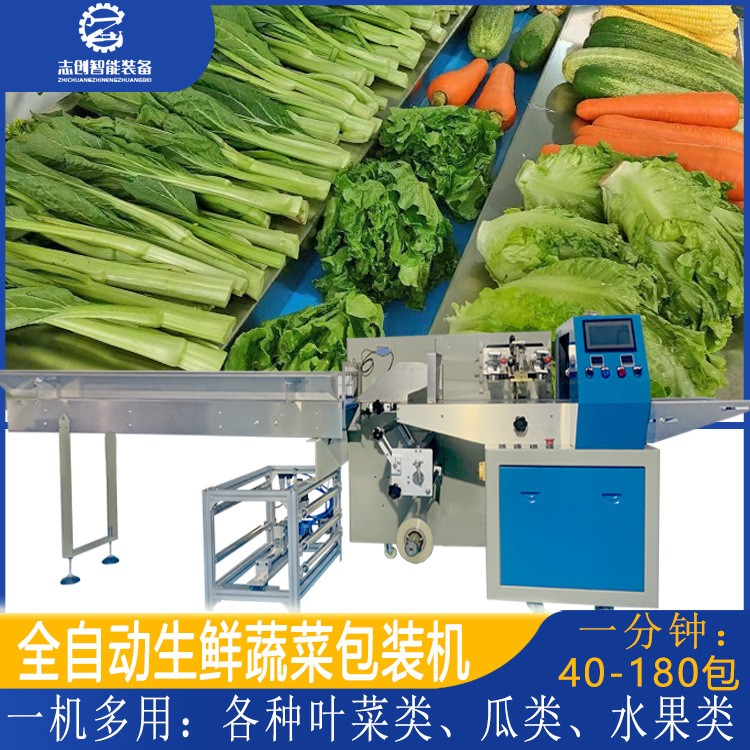 工廠現(xiàn)貨全自動蔬菜包裝機 豆芽胡蘿卜香蕉套袋打包機 水果包裝機