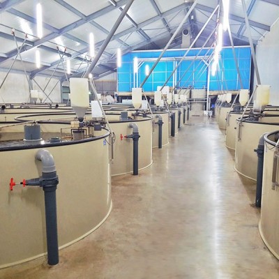 大型養魚池 循環水高密度養殖室內工廠化養魚耐腐蝕塑料PP魚池