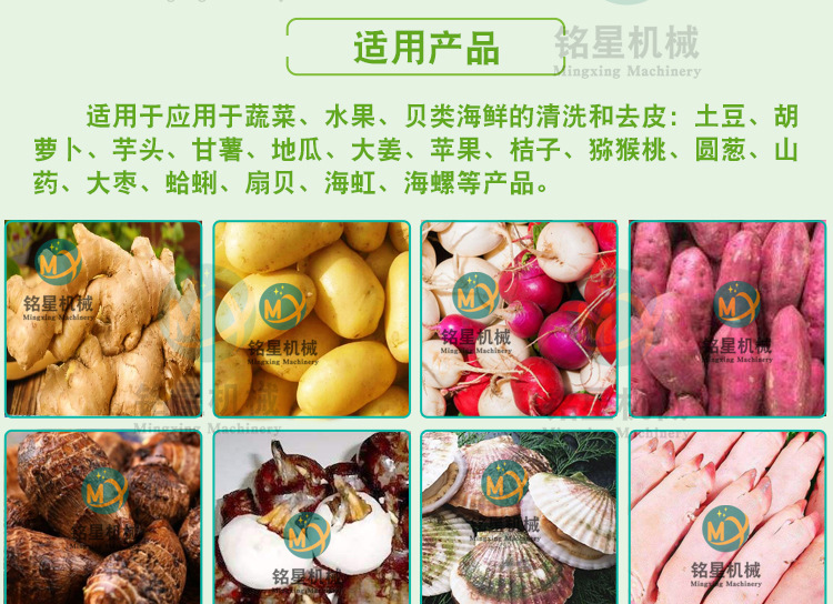 銘星詳情1_13.jpg