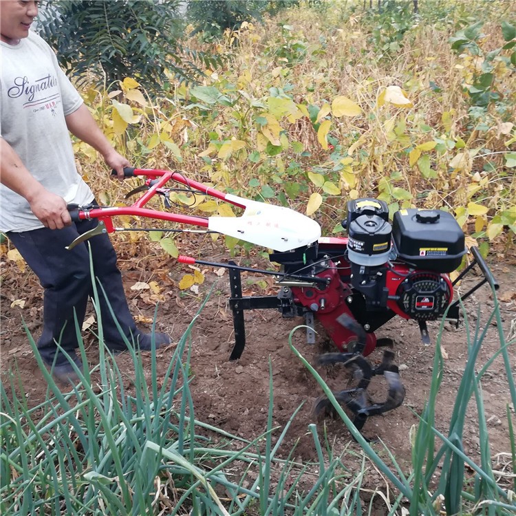 田園耕作機微耕機 手扶車帶的旋耕機 圣魯牌汽油耕地機報價
