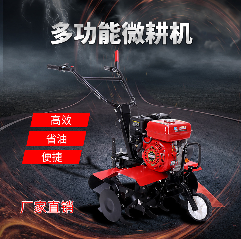 畫板 1 拷貝 5