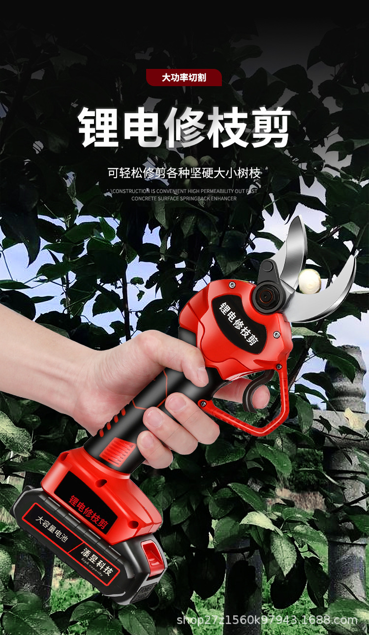 詳情_01.jpg
