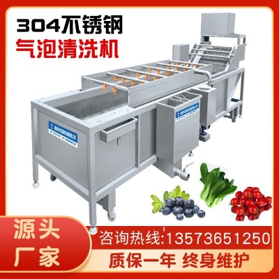 黃綠豆芽氣泡噴淋清洗機 紅豆青椒清泥沙去雜設(shè)備 高壓噴淋機械