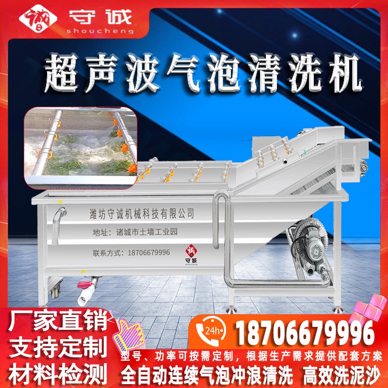 全自動蔬菜清洗機 不銹鋼黃瓜榨菜加工生產(chǎn)線設(shè)備 辣椒氣泡清洗機