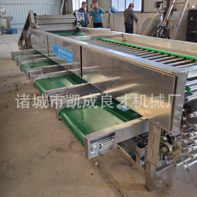 果蔬分選機(jī) 大小水果分級機(jī) 柑桔火龍果選果機(jī)