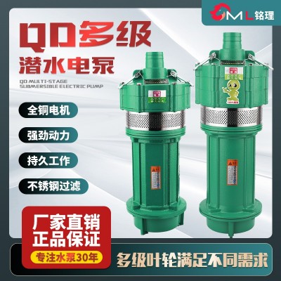 QD多級(jí)潛水泵家用農(nóng)用灌溉高揚(yáng)程廠家直銷單相220V小老鼠現(xiàn)貨批發(fā)
