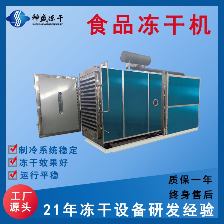 現貨100平商用食品凍干機 果蔬低溫凍干設備 寵物食品真空凍干機