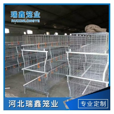 廠家生產(chǎn)供應(yīng) 單層皮帶立式熱鍍鋅元寶肉雞籠全自動(dòng)養(yǎng)殖設(shè)備