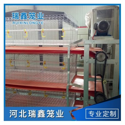 廠家批發(fā) 全自動(dòng)肉雞籠養(yǎng)殖 層疊籠養(yǎng)設(shè)備
