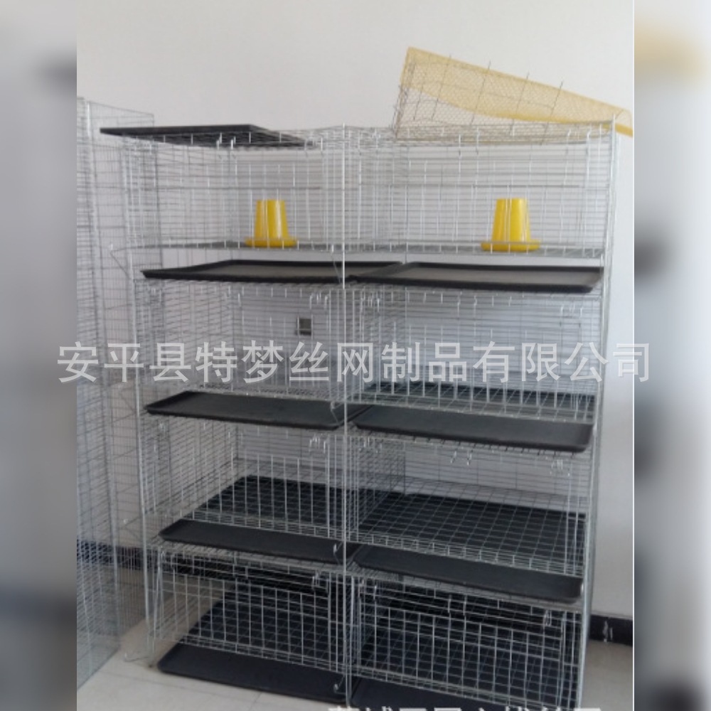 雛雞籠02.jpg