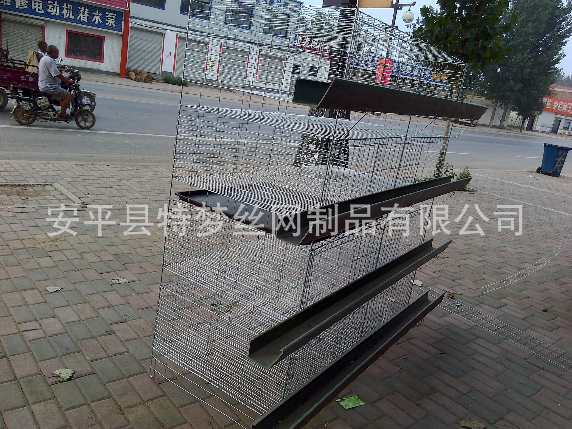 雛雞籠10.jpg