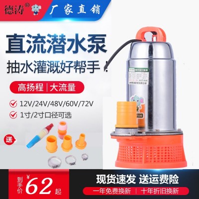 德濤船用12v直流微型潛水泵24v不銹鋼直流泵60V48v通用家用抽水泵