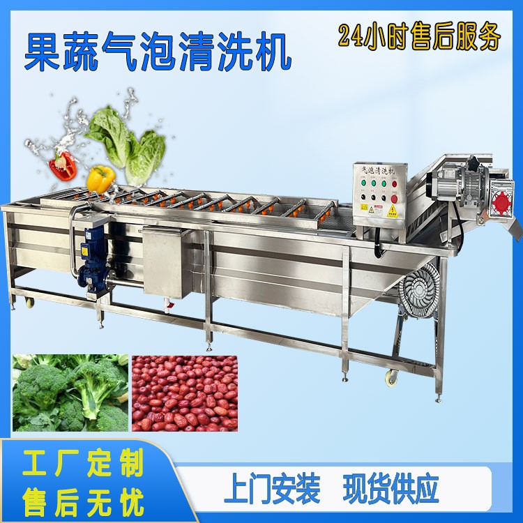 氣泡清洗山野菜加工設(shè)備薺菜翻浪鼓泡清洗機桑葉清洗機