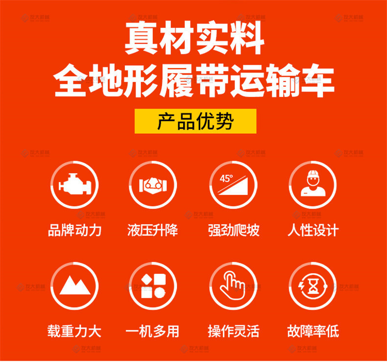 描述 (1).jpg