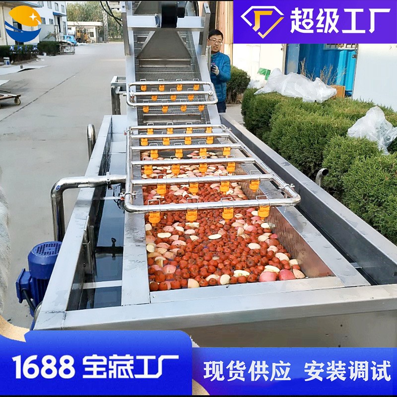 氣泡水果草莓清洗機 瓜果西紅柿桃子蘋果清洗設(shè)備 枇杷果洗果機