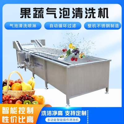 推薦藍莓圣女果多功能氣泡清洗機葉類蔬菜氣泡翻滾清洗設備