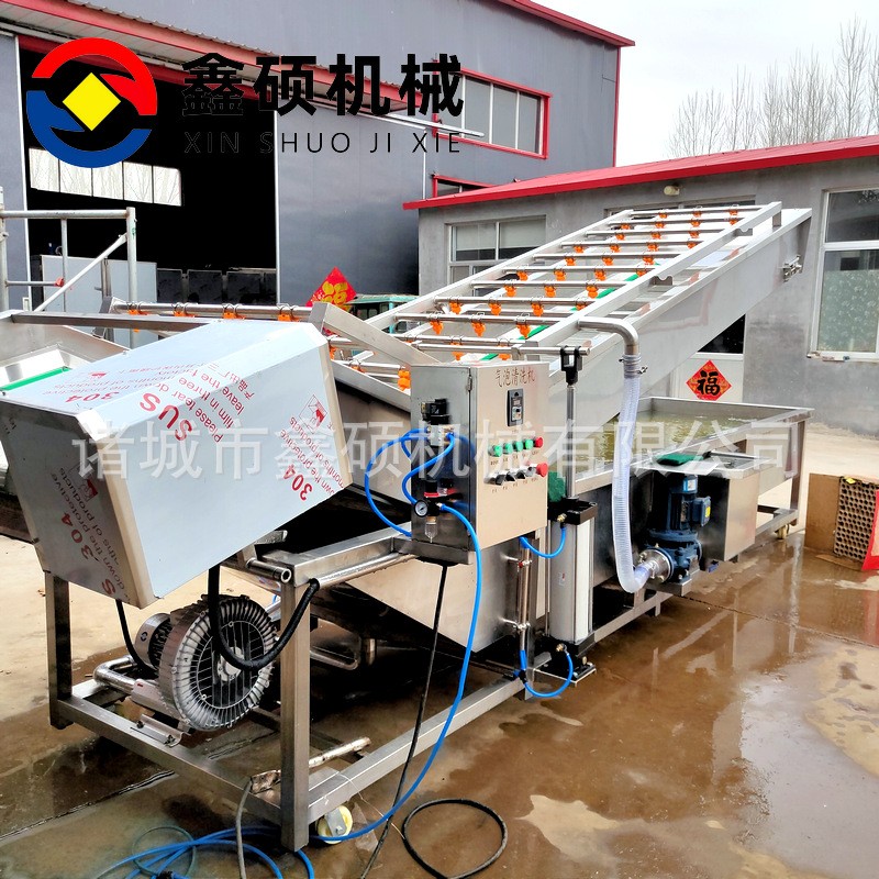 廠家供應氣泡清洗機 不銹鋼材質果蔬清洗線 彩椒金針菇清洗機設備