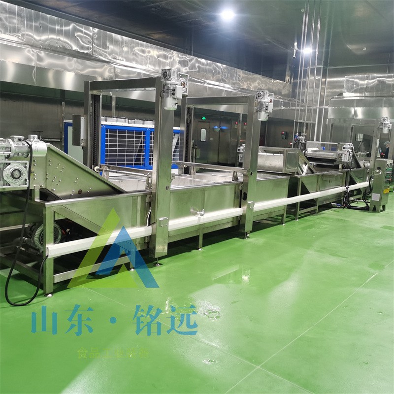 圣女果氣泡清洗設(shè)備豆角洗菜設(shè)備檸檬氣泡清洗機大棗山楂清洗設(shè)備