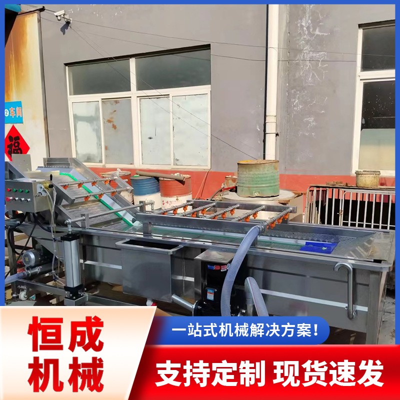 全自動藥材把白菜蘿卜清洗機蔬菜高壓沖洗清洗流水線廠家直銷優(yōu)惠