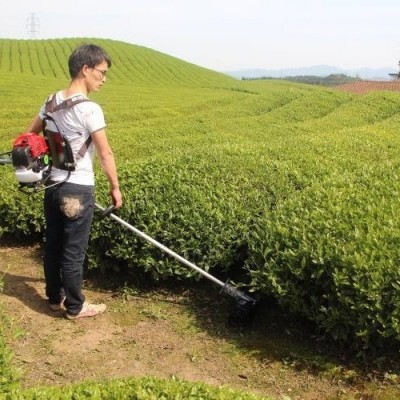 背負(fù)式家用電動(dòng)割草機(jī)大棚蔬菜果園打草機(jī)大功率開(kāi)荒收割神器成浩