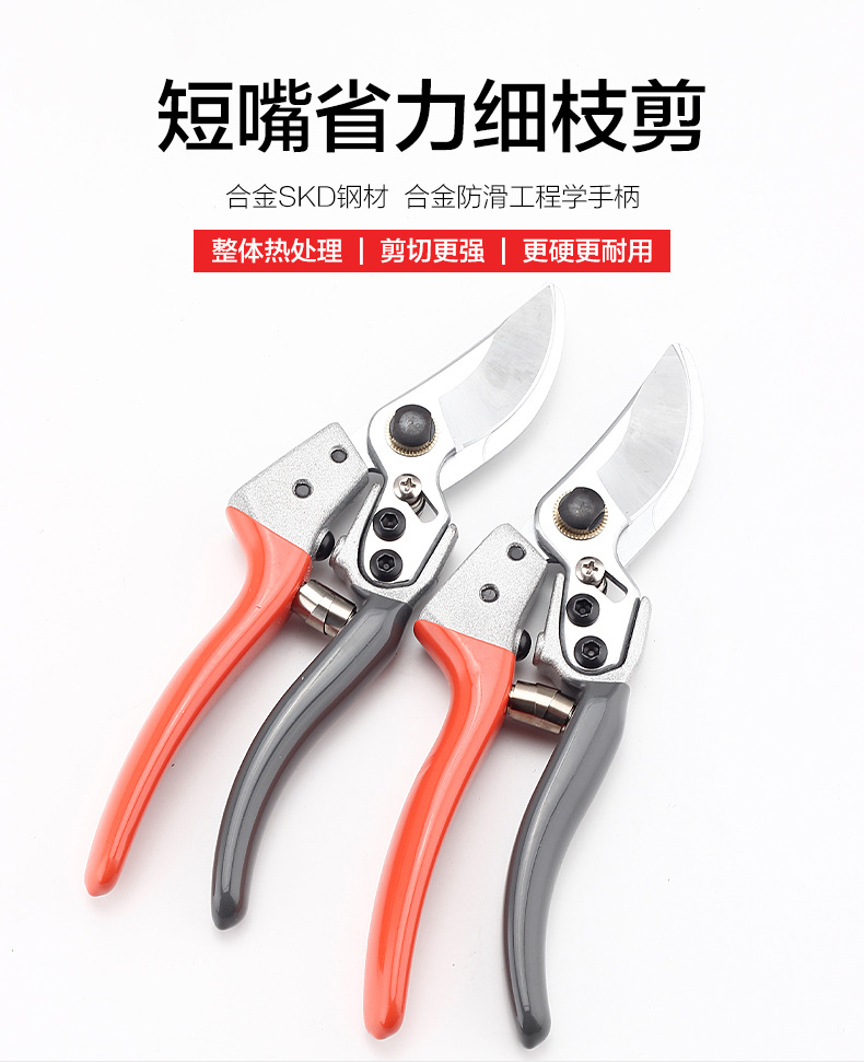 園林剪刀_01.jpg