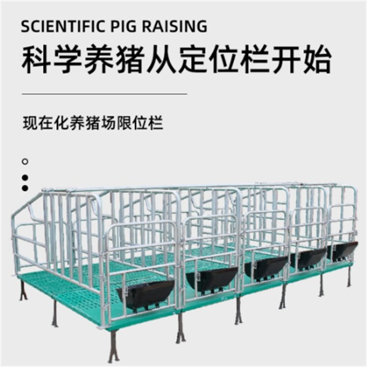 復合板限位欄 熱鍍鋅母豬定位欄 落地式限位 欄