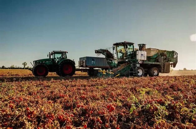 意大利MTS THR自走式番茄采收機