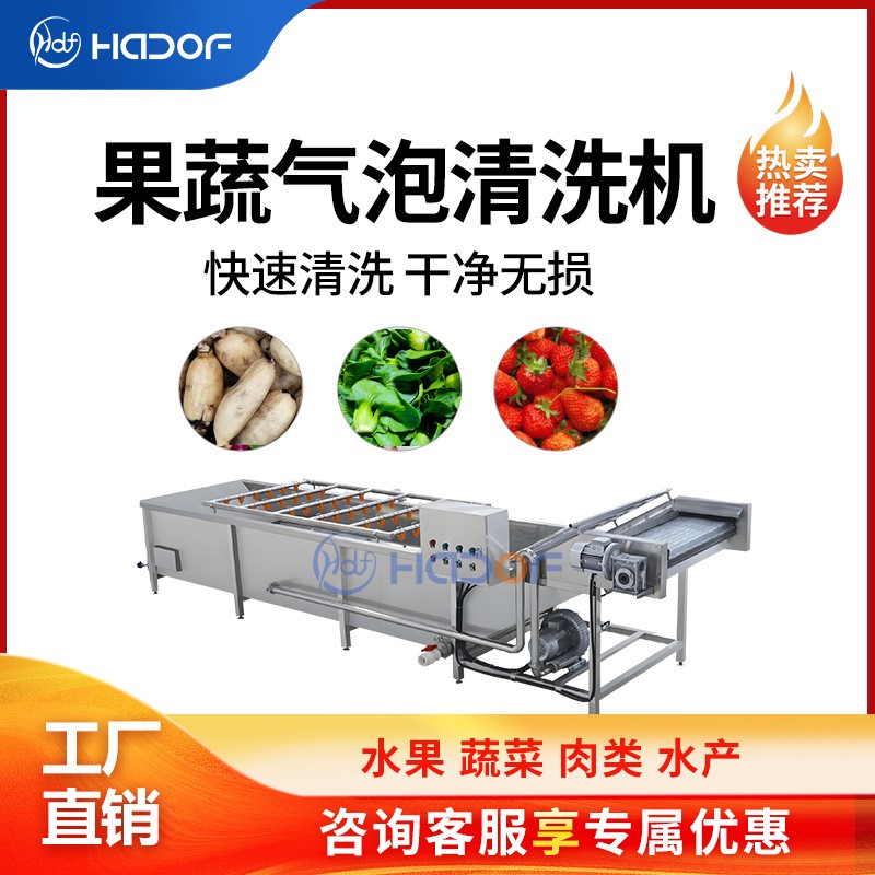 全自動(dòng)瓜果蔬菜氣泡清洗機(jī)不銹鋼噴淋式洗菜機(jī)中央廚房?jī)舨水a(chǎn)線