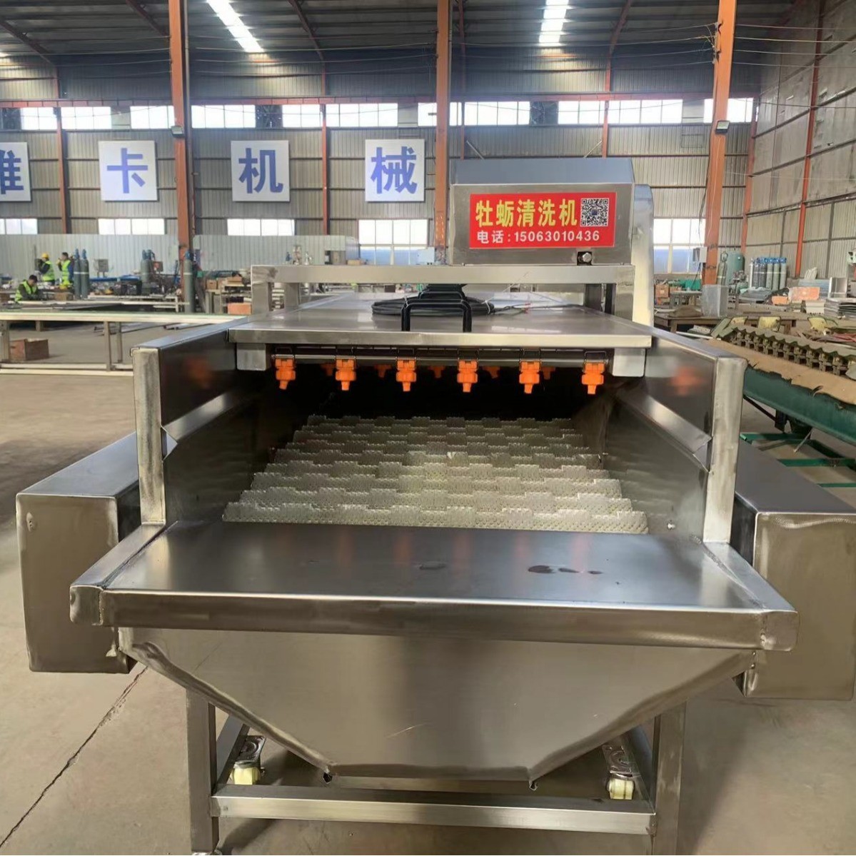 牡蠣清洗機(jī) 海鮮魚類清洗線 廠家現(xiàn)供海蠣子去泥毛輥清洗機(jī)
