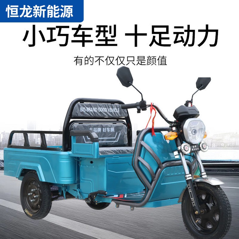新款小型電動(dòng)三輪車家用拉貨農(nóng)用載貨三輪國(guó)標(biāo)可上牌貨運(yùn)小平板車