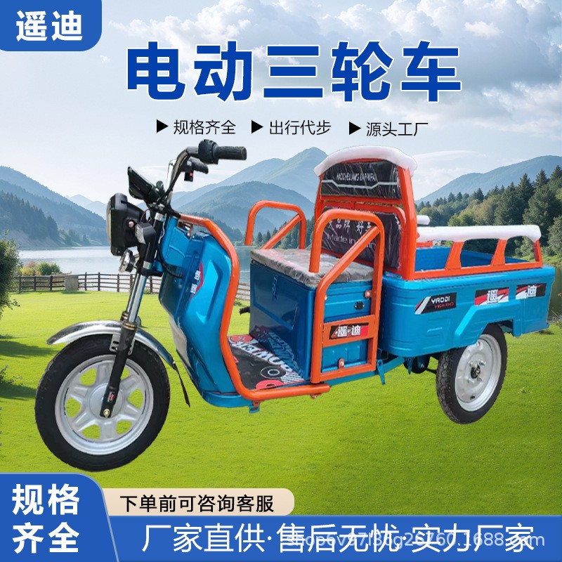 新國(guó)標(biāo)電動(dòng)三輪車載重王成人拉貨三輪快遞車新款家用電瓶車農(nóng)用車