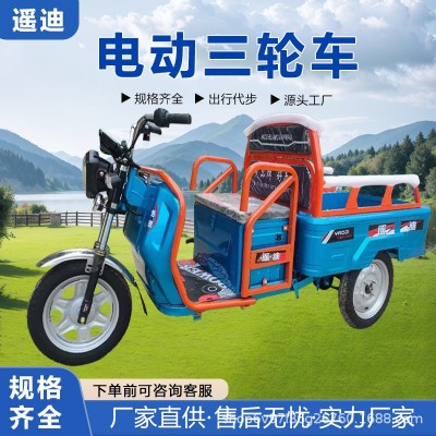 新國(guó)標(biāo)電動(dòng)三輪車載重王成人拉貨三輪快遞車新款家用電瓶車農(nóng)用車