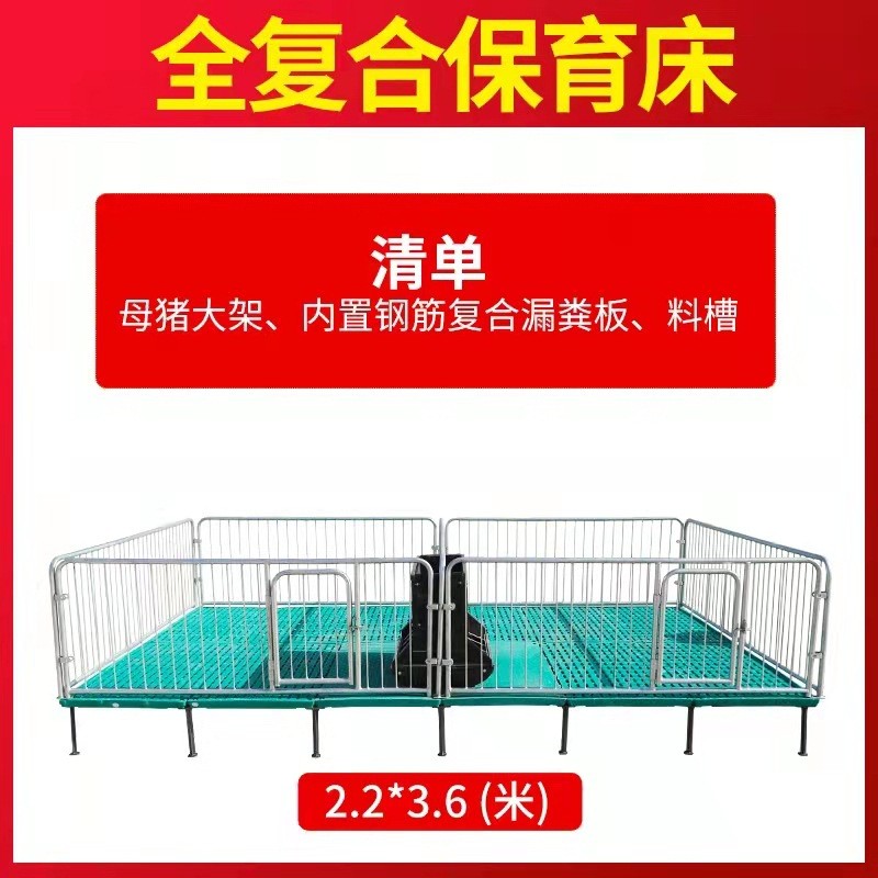 2.5熱鍍鋅管保育床 全復合板小豬保育欄 加高仔豬保育產床